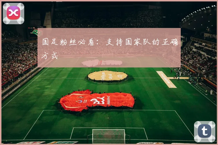 国足粉丝必看:支持国家队的正确方式